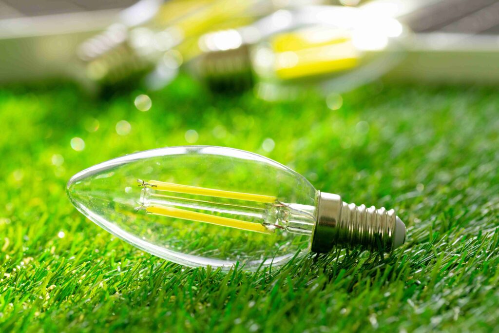 energy-efficient-light-bulb-lying-on-grass-2021-09-03-17-39-53-utc (1)